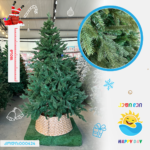 ნაძვის ხე 000424