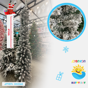 ნაძვის ხე 002565