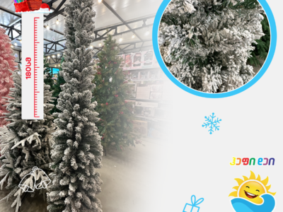 ნაძვის ხე 002565