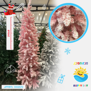 ნაძვის ხე 002572