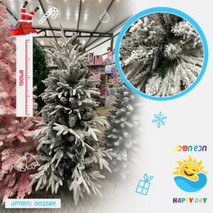 ნაძვის ხე 002589