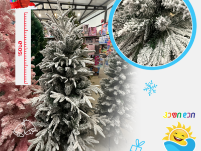 ნაძვის ხე 002589