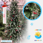 ნაძვის ხე 002596