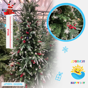 ნაძვის ხე 002596