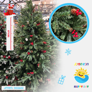 ნაძვის ხე 002602