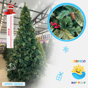 ნაძვის ხე 002626