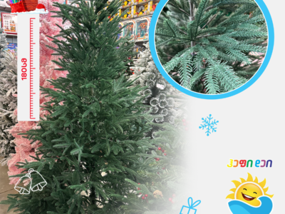 ნაძვის ხე 002633