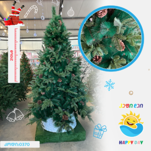 ნაძვის ხე 0370