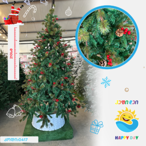 ნაძვის ხე 0417