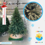 ნაძვის ხე 053210