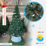 ნაძვის ხე 500281