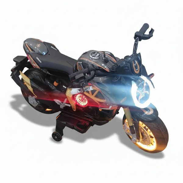 ელექტრო მოტო 600222